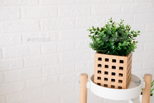 artificial plant in a wooden pot, close-up - Stock Photo - Images