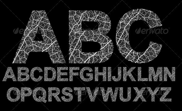 Organic style font - Decorative Symbols Decorative