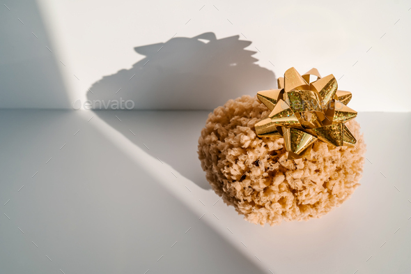Natural sea sponge on a white background