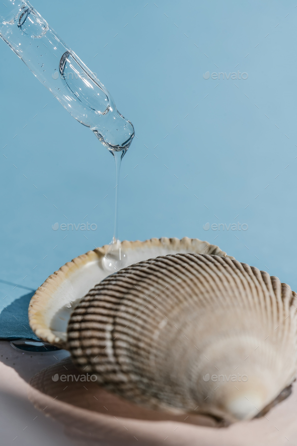 Pipette with transparent serum on the background of shells.