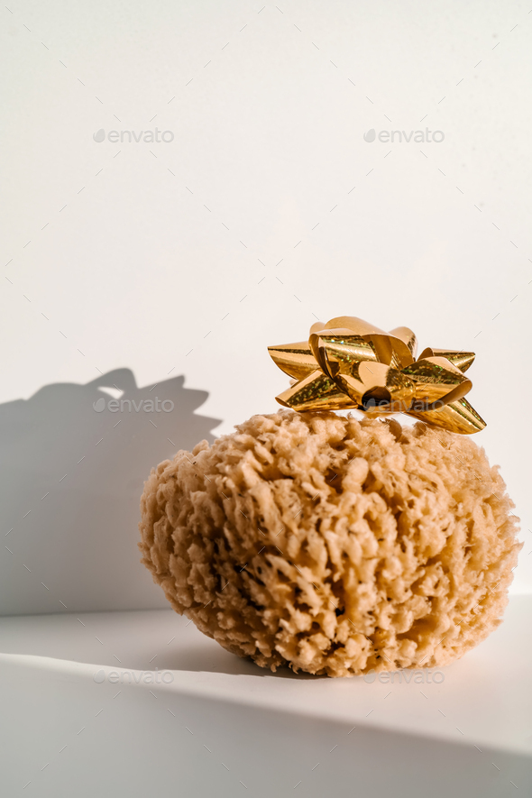 Natural sea sponge on a white background
