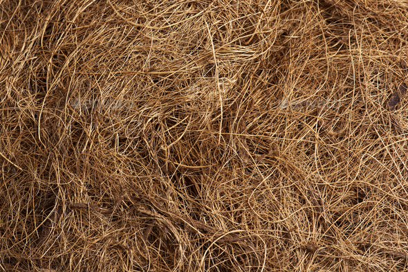 Coconut Coir Stock Photo By Alexstand 