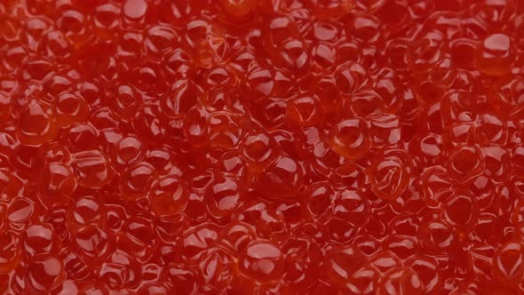Red caviar close up, rotation. Lots of red caviar. 4K UHD video alt