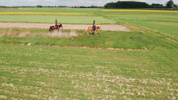 Two Horse Riders On A Light Brown And A Bay Horse Moving Across The Farm Field alt