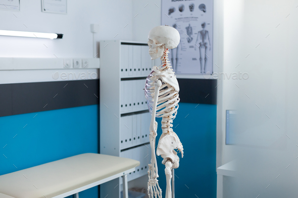 Side view of human skeleton standing in empty medical office