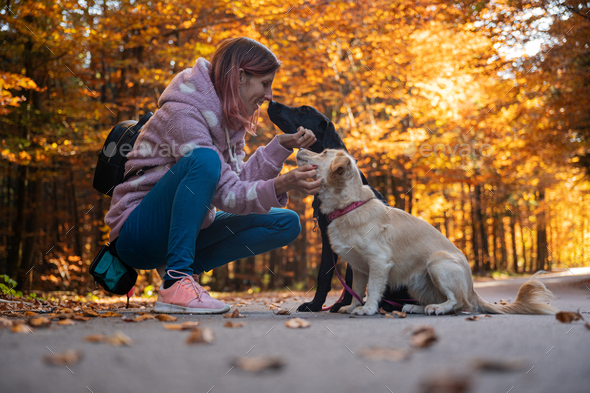 Woman kneeling down to pat and kiss her two dogs in the middle of beautiful autumn forest