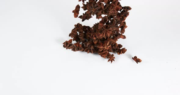 Star Anise illicium verum,, spice falling against White Background, Slow Motion 4K alt