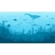 Ocean Underwater Landscape with Reef Fish Whale