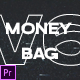 Money Bag V6 - Instagram Stories - VideoHive Item for Sale