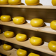 Cheese shop display. Farmer cheese. Cheese wheels in store - PhotoDune Item for Sale