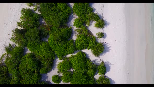 Aerial drone travel of tropical island beach lifestyle by clear ocean and bright sandy background of alt