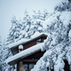Snow covered cottage house and trees - PhotoDune Item for Sale