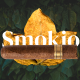 Smokio - Tobacco Store & Hookah Bar WordPress Theme 
