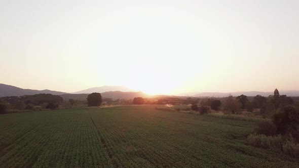 Aerial drone shot flying forward over green fields approaching the sunset.  Tordera, Spain. alt