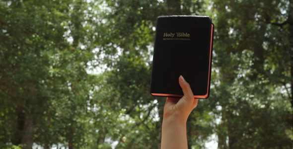 Woman's Hand Holding Up Bible