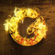 The Golden Fire Logo Reveal - VideoHive Item for Sale