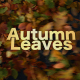 Autumn Leaves - VideoHive Item for Sale