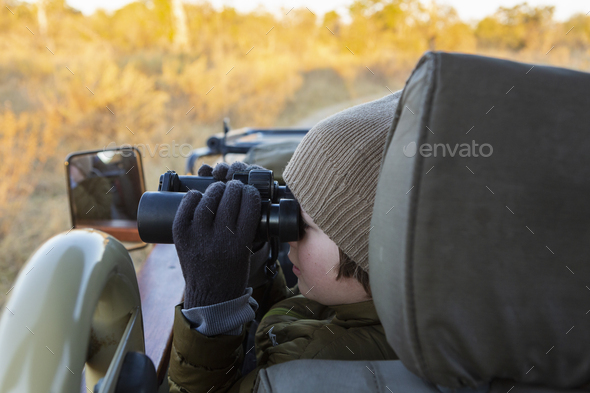 Young boy in a jeep using binoculars, a dawn drive through the bush. - Stock Photo - Images