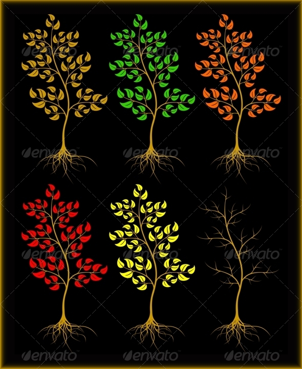 Trees on a black background - Flowers & Plants Nature
