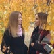 Two Girls in Autumn Park. - VideoHive Item for Sale