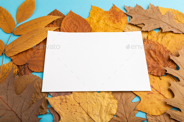 Fall & Autumn In Blue Printer Paper