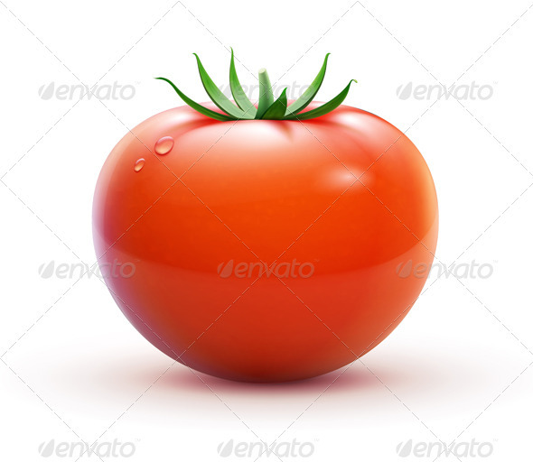 Red fresh tomato - Food Objects