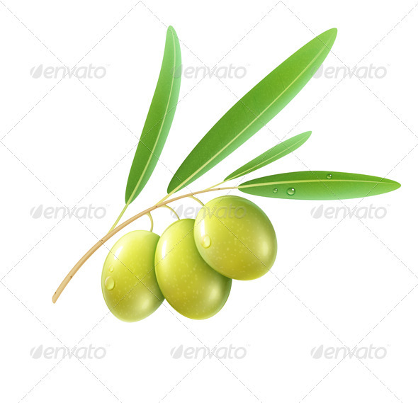 Green olives - Organic Objects Objects