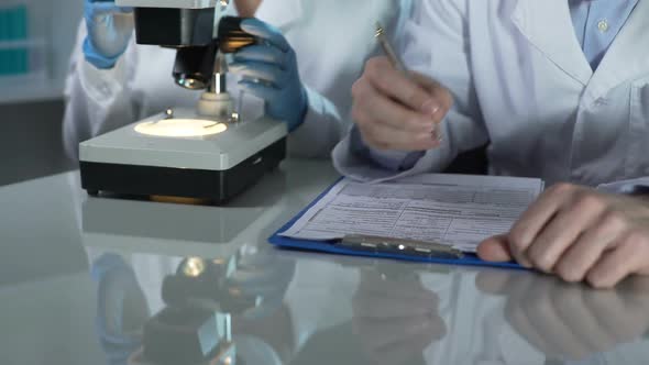 Lab Worker Filling Paper Forms, His Assistant Viewing Samples Under Microscope alt