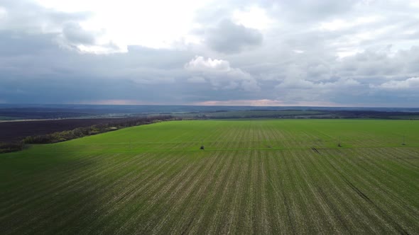 Drone Aerial View of Rural Agricultural Landscape Farm Harvest Green Sown Field