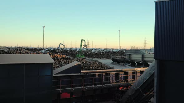 Piles of Logs Lie on the Territory of the Plant and Will Soon Become Wood Chips