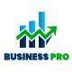 Business Pro – Accounting Inventory Product Shop Company Management