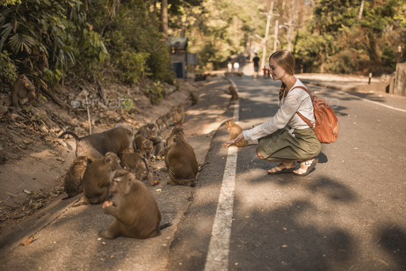 Caucasian traveller woman with Little smart active monkeys in the wild