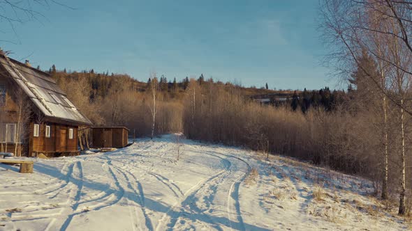 A Beautiful Wooden Cottage in the Middle of a Dark Forest alt