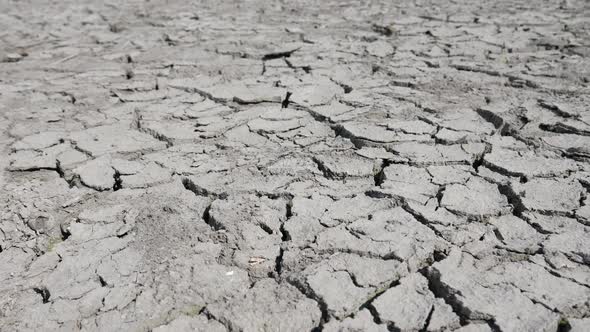 Lake Bed Drying Up Due To Drought