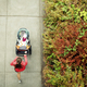Overhead View Of Woman Running While Holding Baby Stroller In Park - PhotoDune Item for Sale