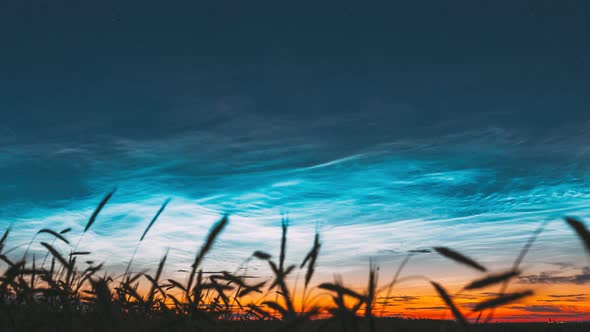 Hyperlapse Pan Slider Shot Time Lapse Night Starry Sky With Glowing Stars Above Countryside alt