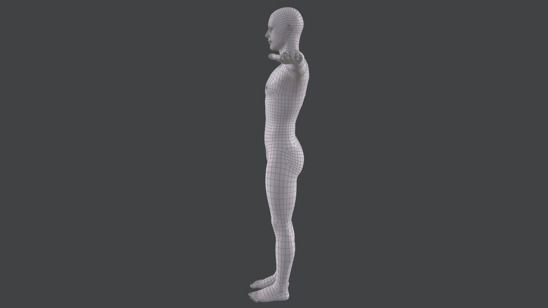 Male Base Mesh by Dofaco | 3DOcean