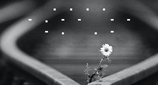 The Star Hymnal Collection