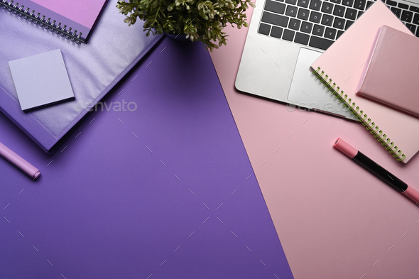 Creative designer workspace with laptop computer, houseplant and stationery on purple background.