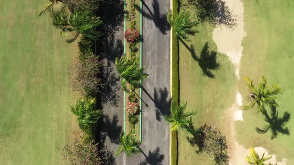 Asphalt Raod with Palm Trees Through Golf Club Field alt