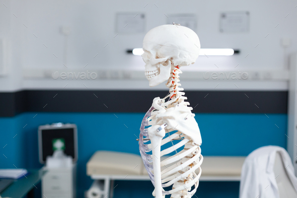 Slide view of human body skeleton standing in empty clinical office