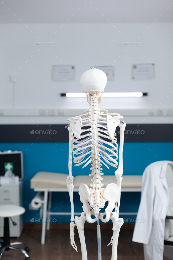 Back shot of human body skeleton standing in empty hospital office room