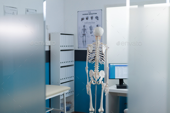 Back view of on human body skeleton standing in empty hospital office