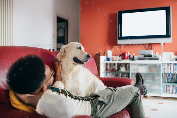 Young black man indoor at home relaxing with dog watching tv