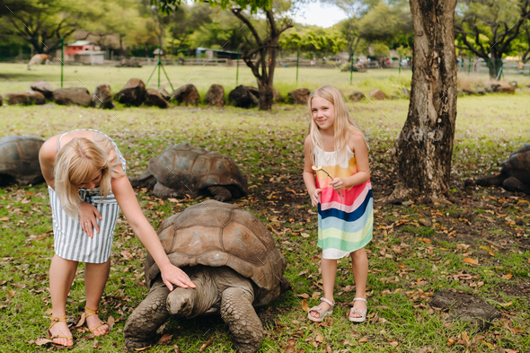 Family mom and daughter near a huge turtle in a park on the island of Mauritius