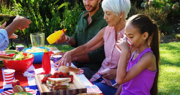 Family having meal in park 4k alt