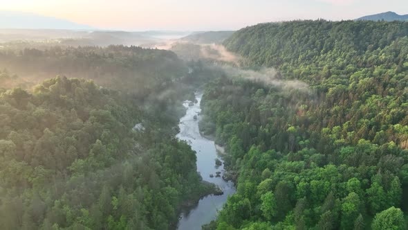 Flying over a river in mist on a beautiful sunrise alt