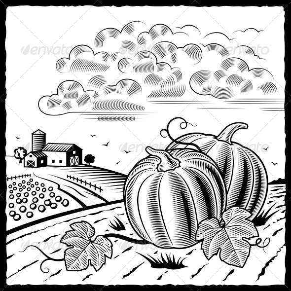 Landscape With Pumpkins Black And White - Nature Conceptual