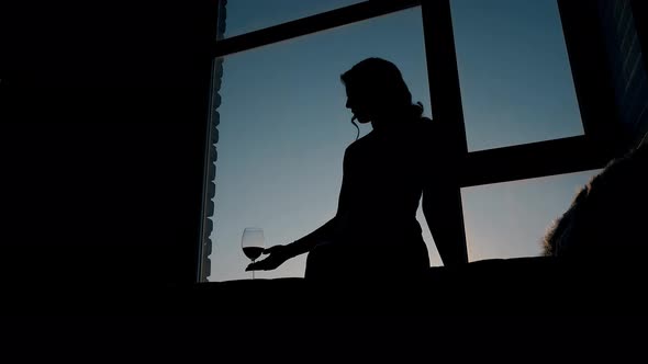 Silhouette of Lady Taking Glass and Drinking Wine in Evening alt