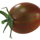 Brad&#39;s atomic grape heirloom tomato, single fruit   isolated (Solanum lycopersicum fruits) - PhotoDune Item for Sale